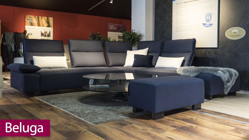 neues Modell Beluga im Showroom Rehlingen