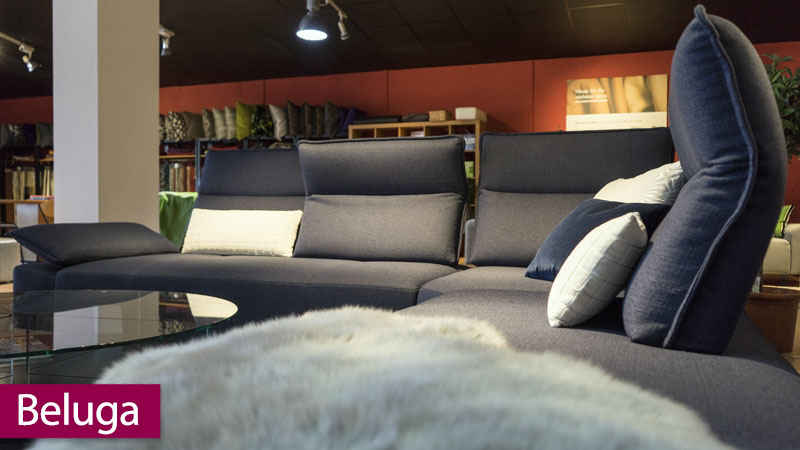 neues Modell Beluga in der Ausstellung in Rehlingen